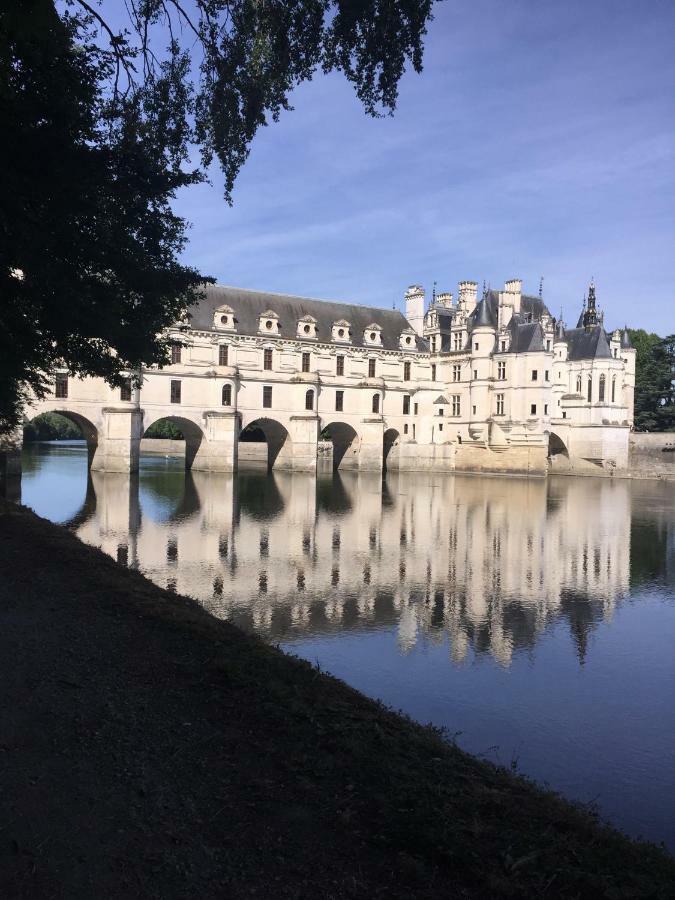 Au Coeur De La Cour Villa Saint-Georges-sur-Cher Exterior foto